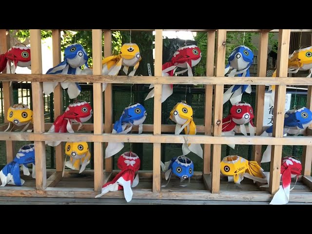 Ukrainian Fashion Show at a Japanese Shrine